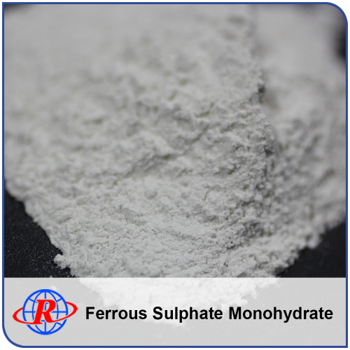 Excellent Price Ferrous Sulfate Formula Powder Monohydrate China Factory