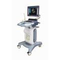 Trolly Color Doppler Ultrasonic Diagnostic System