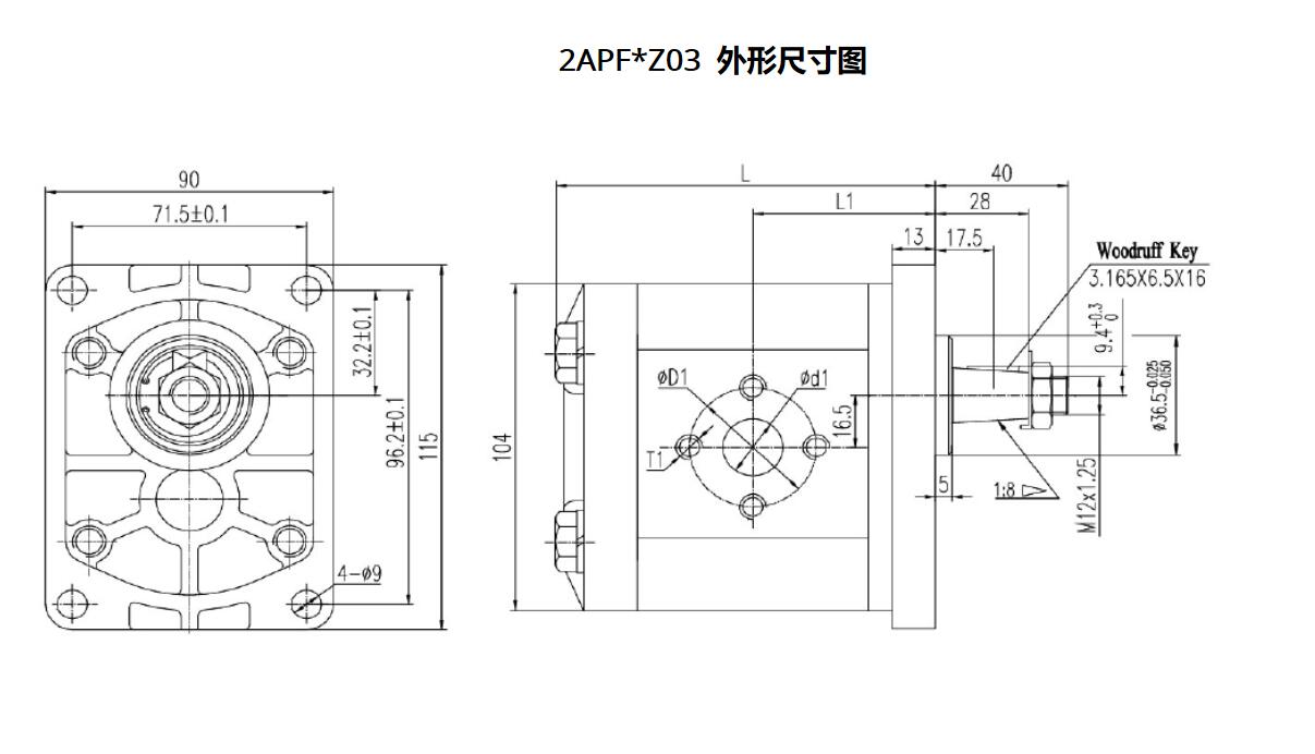 2APF** Dimensions-3