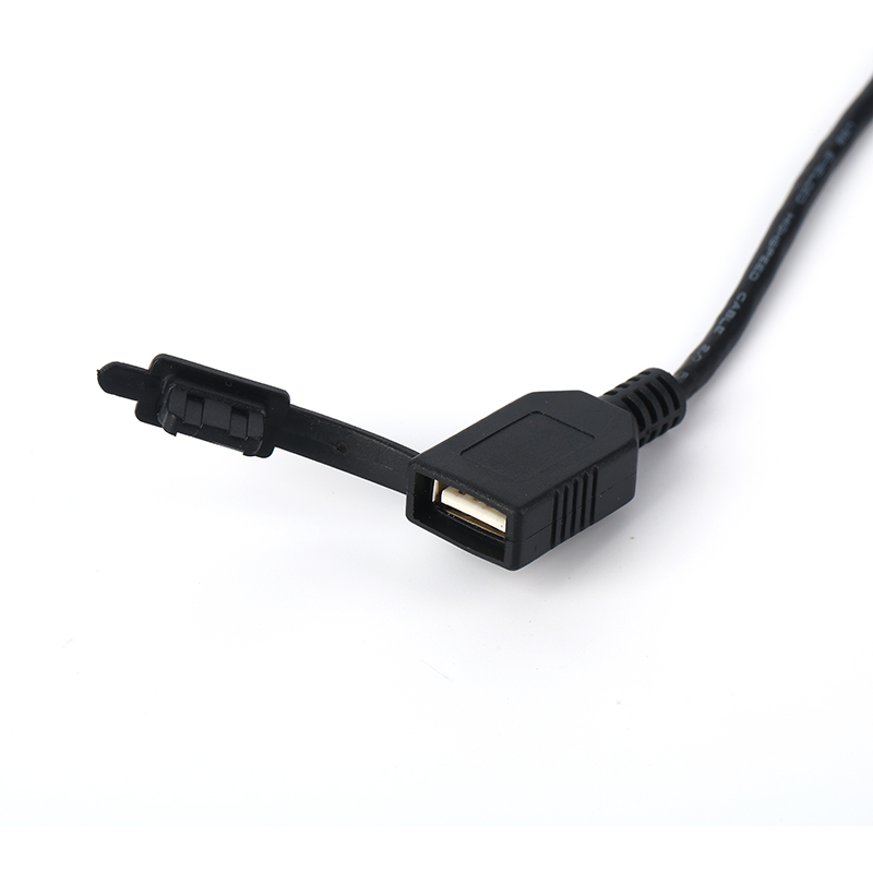 Automotive ECU Wiring Harness Assembly