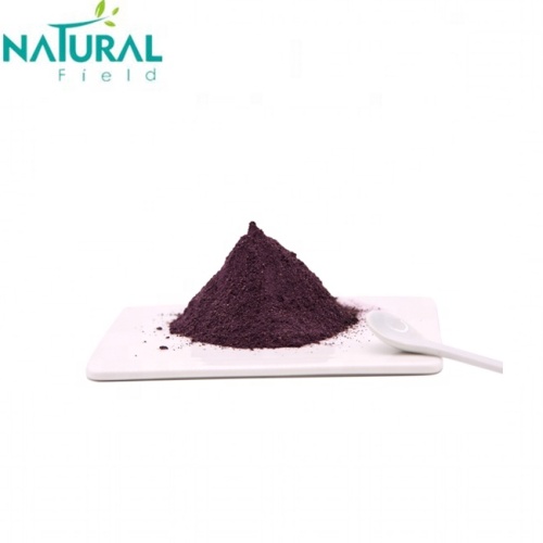 Hot Selling extract Black Anthocyanidins pure elderberry extract powder Supplier