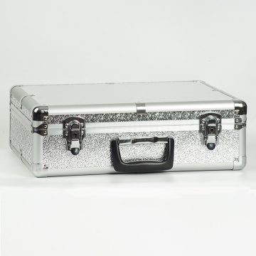 क्रिस्टल वीणा के लिए कस्टम-निर्मित सूटकेस