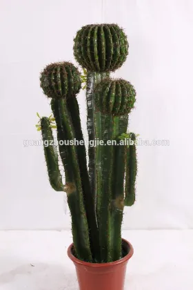 CHY040919 Evergreen plastic succulent plant on sale