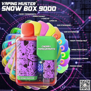 Сніжна коробка vape 9000 puff