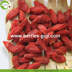 Anti Age Natural Fuits Rojo Común Goji Berries