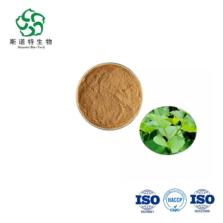 Sweet Potato Leaf Extract