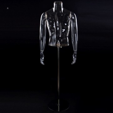 Top New Fashion Transparent Torso Mannequin Wholesale