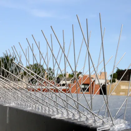 Wholesale Anti-Flying Bird Wall Spikes for Effective Pigeon and Bird Control in Gardens