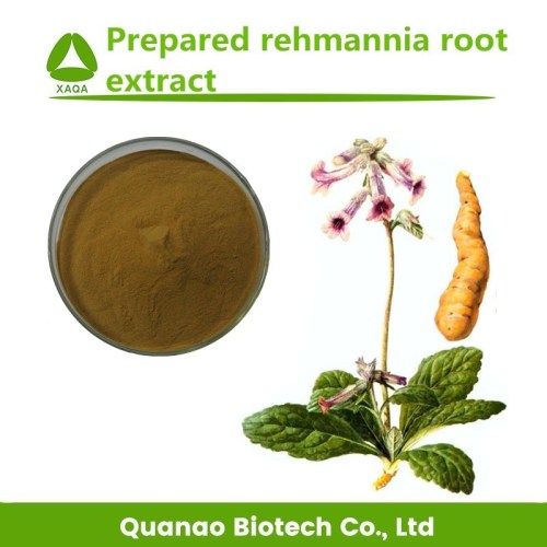 Bereid rehmannia glutinosa root extract poeder