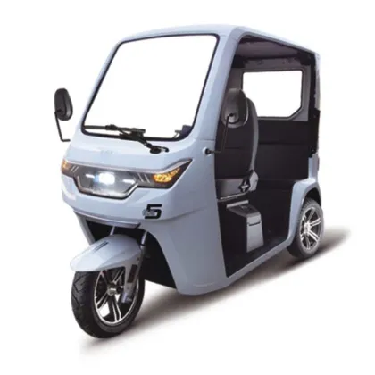 EEC Certificate Electric Tricycle Adult Cargo Passenger Three Wheels electric tuk tuk