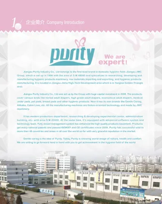 Chinese Medical Adult Diapers (Health Care Functional)