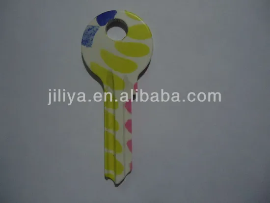 Hot sale color blank key