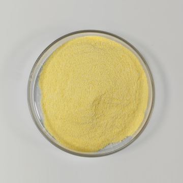 Nutrition Vétérinaire Vétérinaire Vitamine B Powder