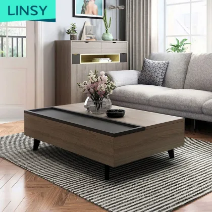 Linsy Nordic Multifunction Living Room Furniture