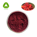 Myrica rubra waxberry extract rood bayberry poeder