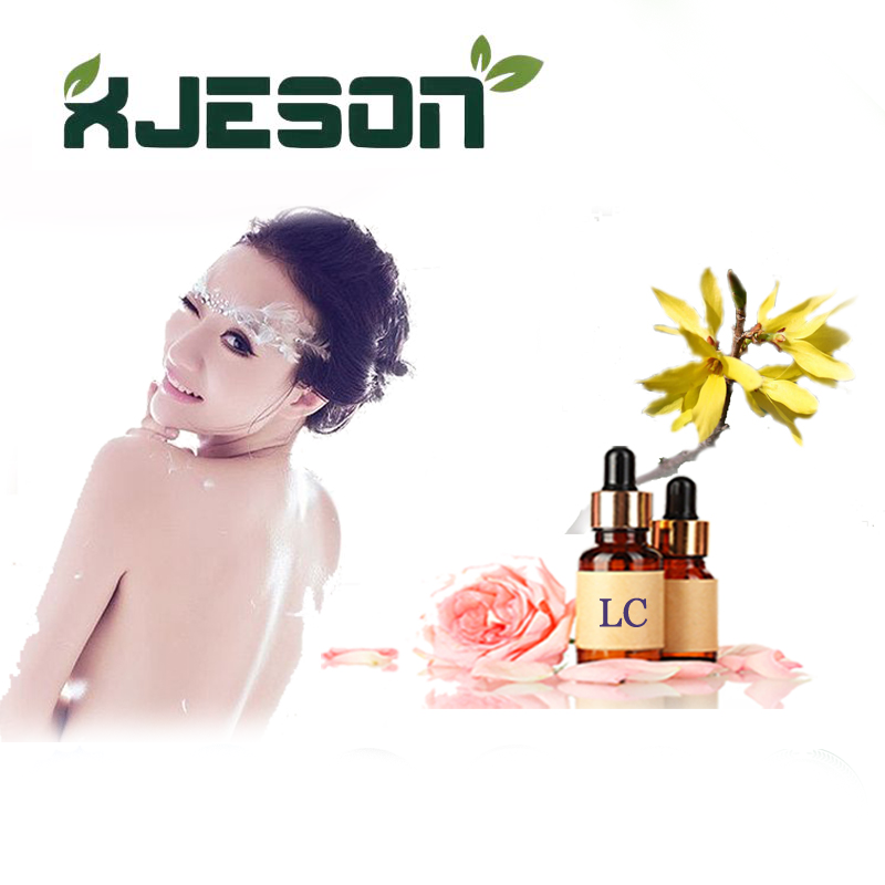 New Product Wholesale Forsythia Suspansa Oil