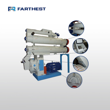 Small Feed Pellet Making Mill Pelletizer Machine for Carp Fish Breeding
