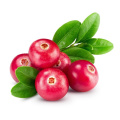 Natürliches sofortiges Cranberry -Saftpulver mit freier Probe