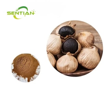 High quality Black garlic powder