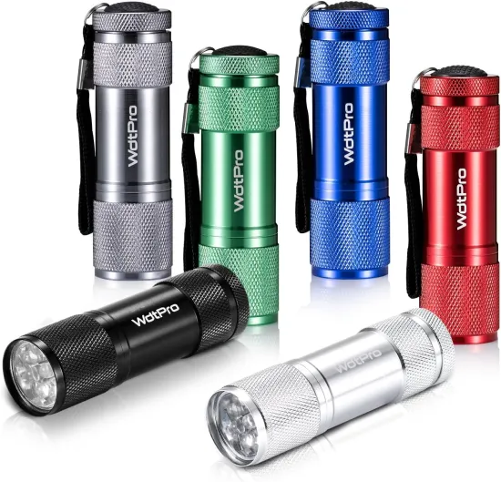 Super Bright LED Mini Flashlights with Lanyard - Assorted Colors Best for Kids and Night Reading