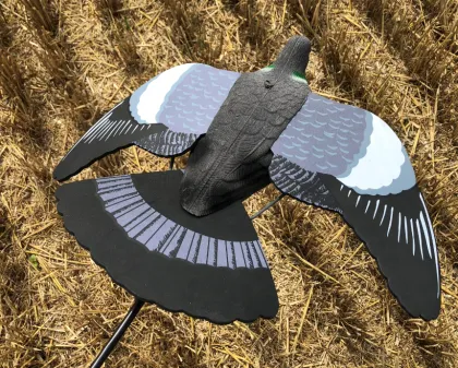 Realistic Plastic Flying Hunting Pigeon Decoy with Foam Wing and Landing Tail for Outdoor EVA