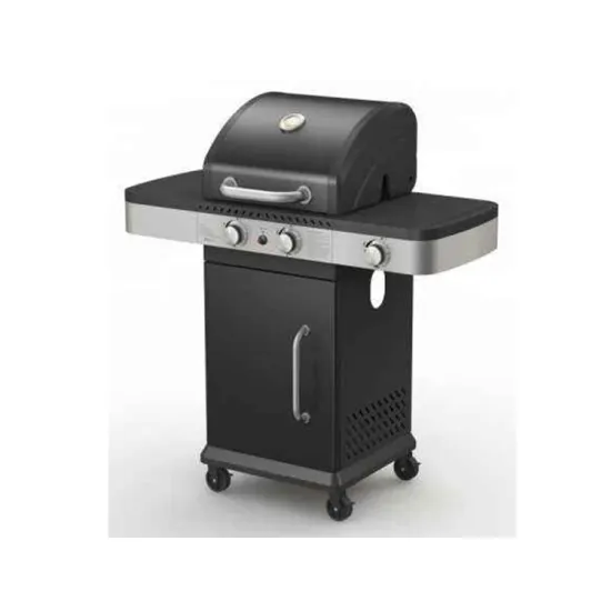 LP Gas BBQ Outdoor Grill 480x420mm Cooking Area Business Gifts Bbq Gas Grill