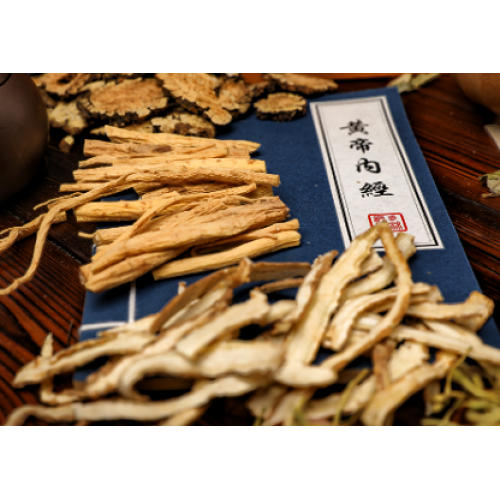 Chinese Angelica Extract (Radix Angelicae Sinensis)
