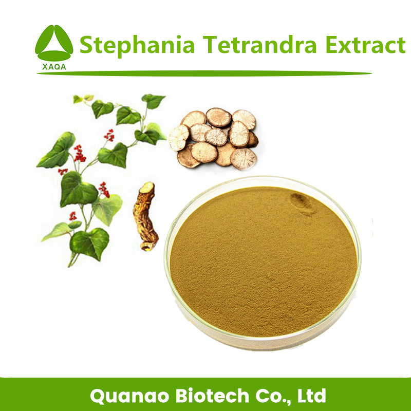 Planta natural Stephania tetrandra extracto polvo 10: 1
