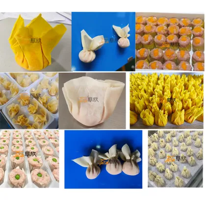 Wonton Making Machine: Chinese Dumpling Making Machine