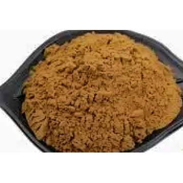 Pure Tangerine Peel Extract for Natural Wellness a