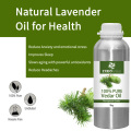 Excellent Quality Cedarwood Pure Cedar Wood Essential Oil