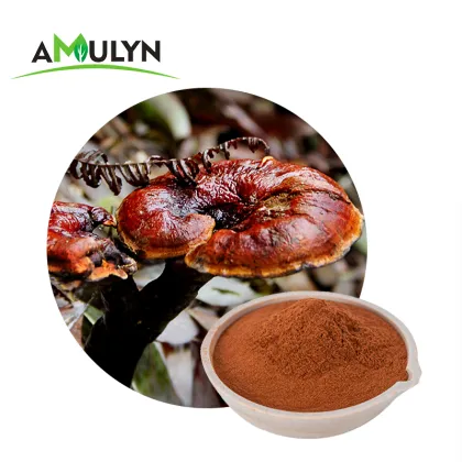 Organic Shell broken Ganoderma Lucidum Reishi Spore Powder
