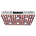 Luces de cultivo LED de espectro completo 3000W COB