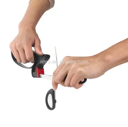 Multifunctional Kitchen Knife Scissors Sharpener