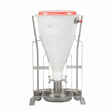 Equipment for Pig Farming: Dry and Wet Feeders