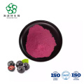 Extrait de baies Aronia Berry soluble en poudre de cerise sauvage soluble