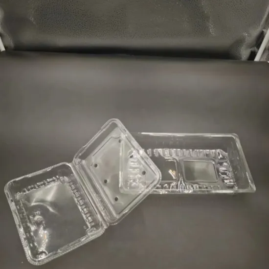 Disposable Hinged PET Fruit Vegetable Box Food Container