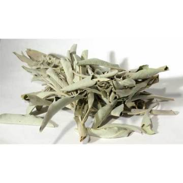 Sage leaf - Salvia officinalis Natural dried tea herb 50 gr-400 gr Free Shipping