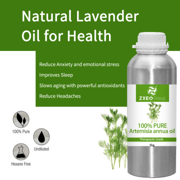 Pure Natural Artemisia Annua Oil for Medical