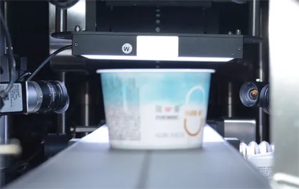 visual inspection machine vision system