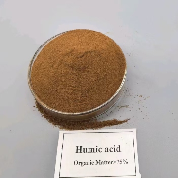 Humic Acid: Unlock Peru`s High-Yield Cash Crop Potential