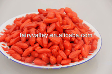 Organic goji fruit bacche+di+goji+biologica+certificata for sale