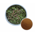 Portulaca oleracea Extract for skin