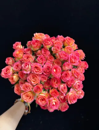 Multi-Headed Summer Dance Rose in Red and Orange