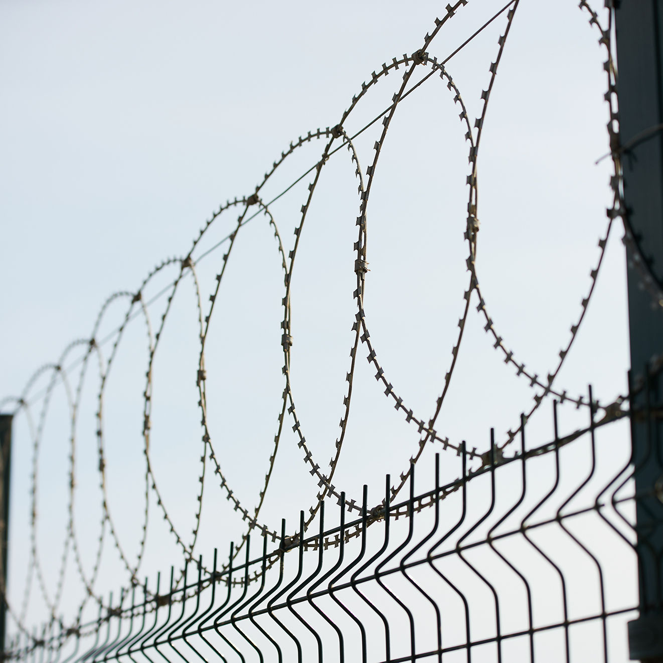 razor wire fence 