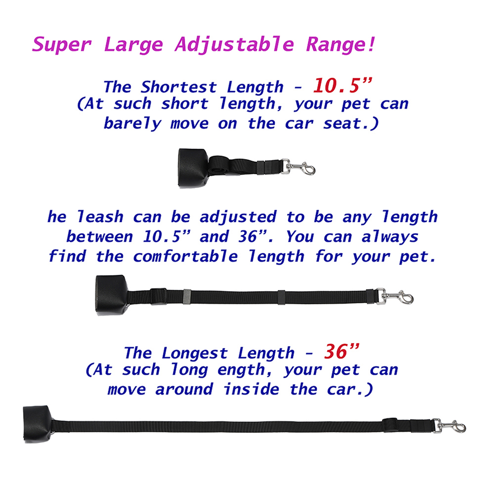 paracord dog leash
