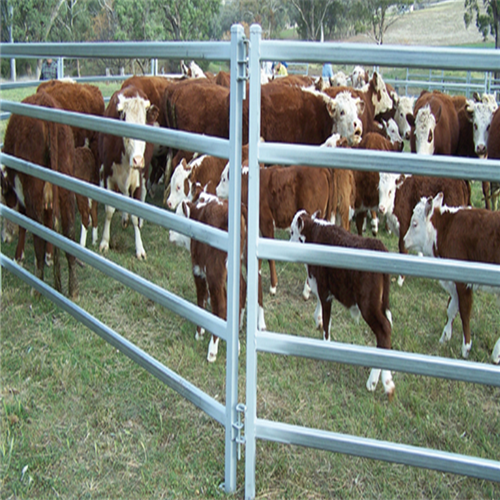 haute clôture métallique de clôture de cheval de bétail galvanisé