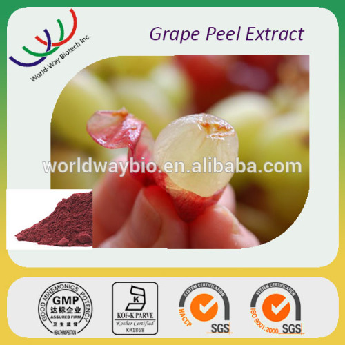 Treating ardiovascular disease free sample 50%-99% trans-resveratrol grape peel resveratrol extract resveratrol