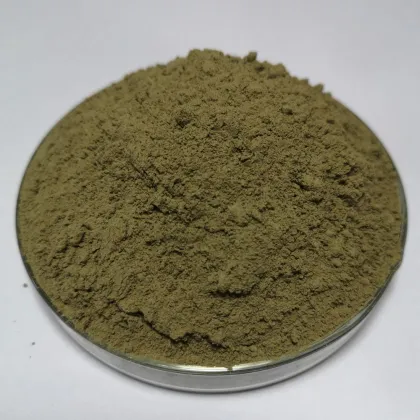 Organic Buckwheat Juice Green Powder