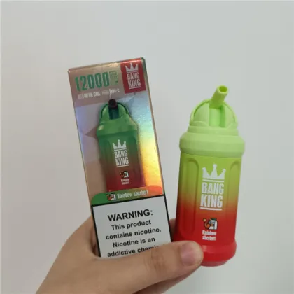 Bang Vape Bang Box 12000 Puffs Disposable US